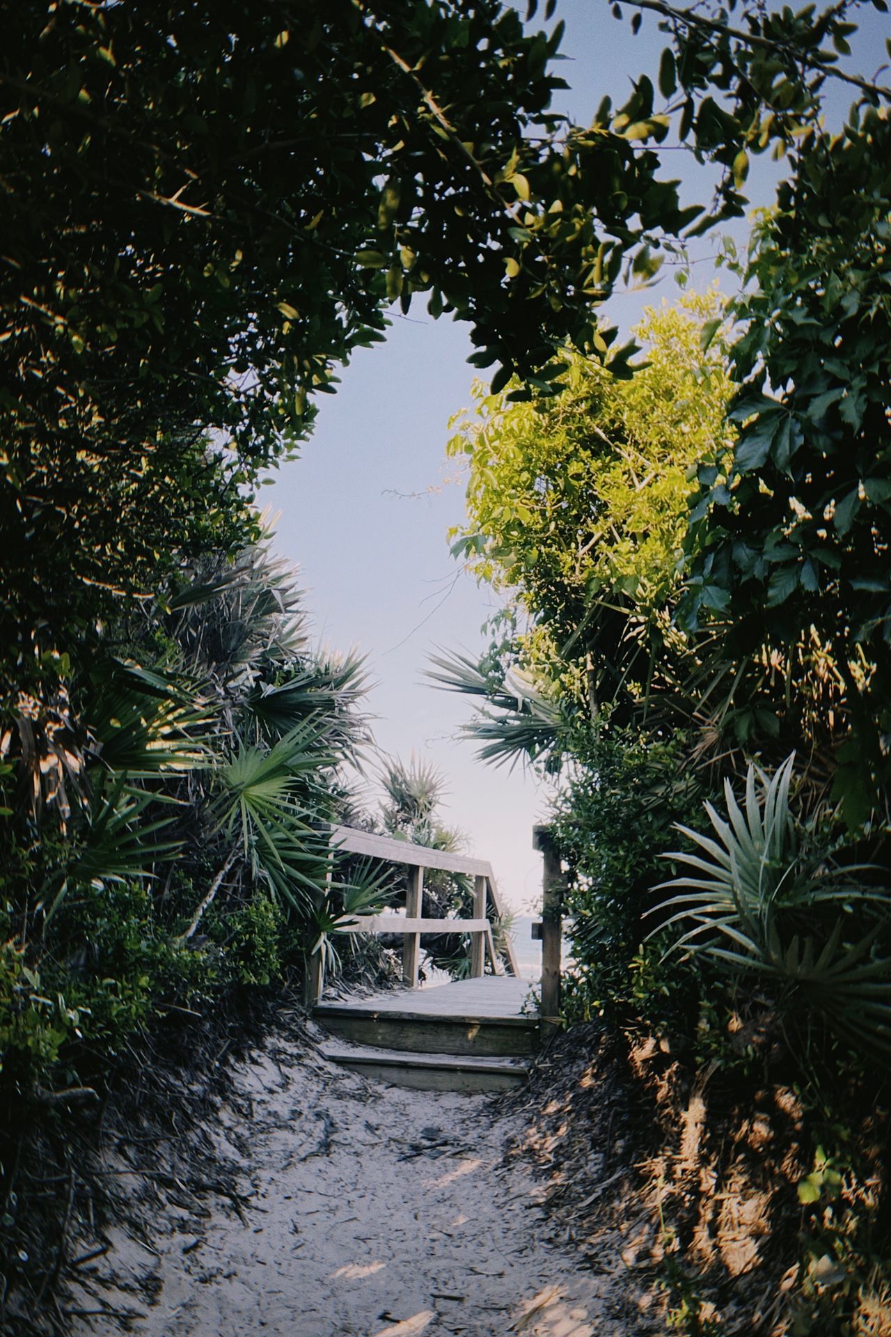 Beautiful beach scene in Charleston, South Carolina